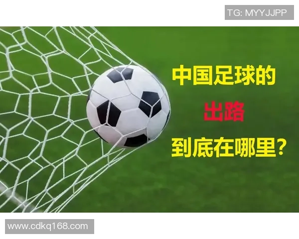 广州网球队的秘密武器：深度解析其训练与管理模式的成功之道